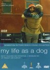 My Life as a Dog (1985)7.jpg